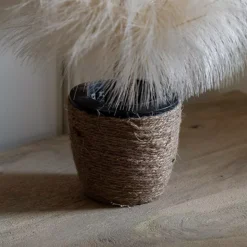 Gallery Small LED Pampas Grass Christmas Tree -Twinkle Home Decor Shop Gallery Small LED Pampas Grass Christmas Tree91E844FRSP W02