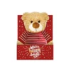 Milton & Drew Christmas Bear Plush Toy With Heatable Insert In Gift Box -Twinkle Home Decor Shop Milton Drew Christmas Bear Plush Toy with Heatable Insert in Gift Box72C729FRSP